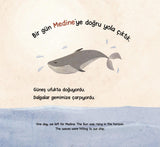 KARŞI KIYIYA YOLCULUK - Etkinlikli - Ayşe Taşyürek