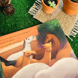 Süleyman Peygamber Hikayesi - Elif Santur