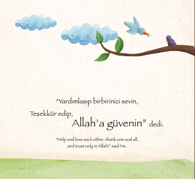 Nuh Peygamber Hikayesi - Sümeyye Öcal