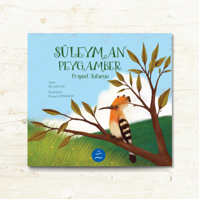 Süleyman Peygamber Hikayesi - Elif Santur